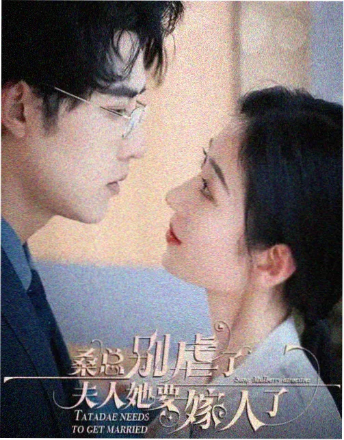 免费观看高清完整电视剧 王国